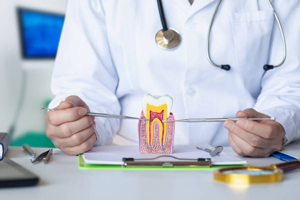 Best Same-Day Emergency Dentist in St Charles, MI